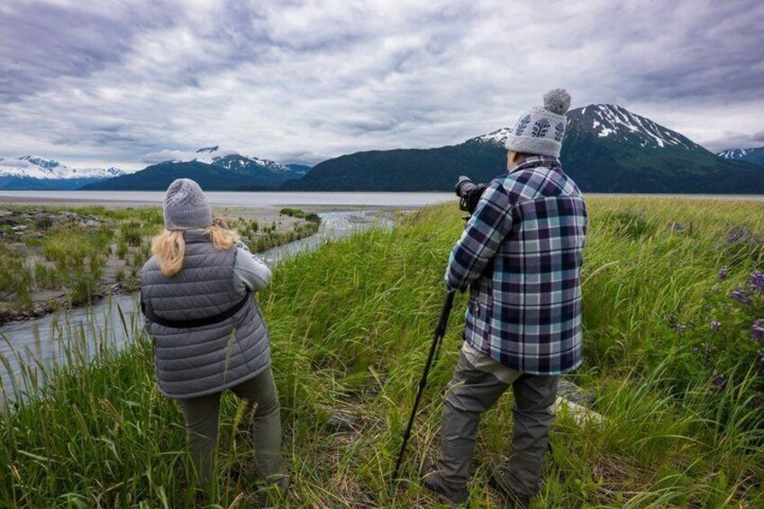 Turnagain Arm Highlights Photo Tour 3