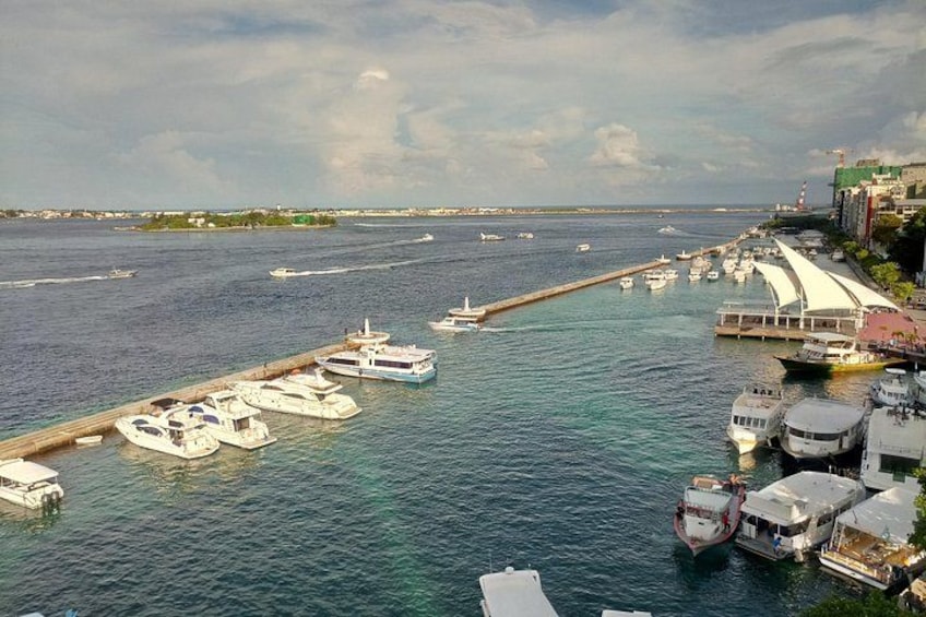 A marina with boats docked, a pier extending into the water, and a distant shoreline with buildings. 1