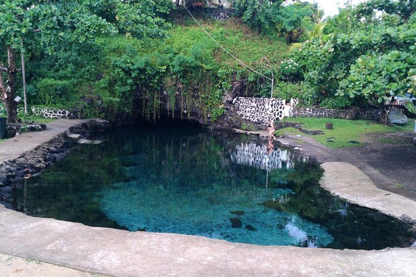 A clear pond surrounded by lush greenery and a stone wall. 1