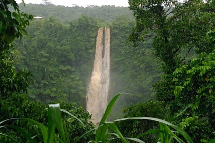 A waterfall surrounded by dense green forest. 2