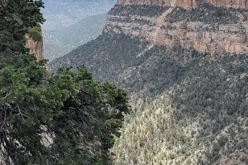 A mountainous landscape with dense green vegetation and rocky cliffs. 3