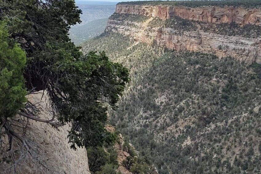 Guided Group Tour to Mesa Verde National Park from Durango 3