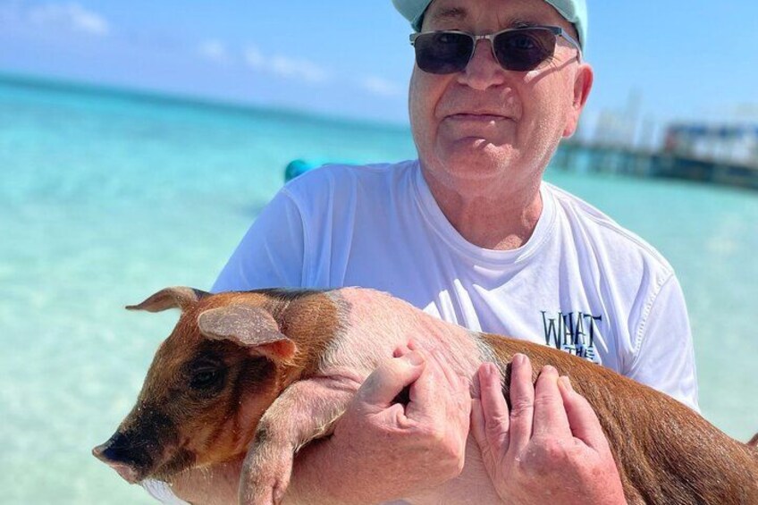 3 islands Tour with snorkelling ,Pigs, Turtles & beach club lunch 3