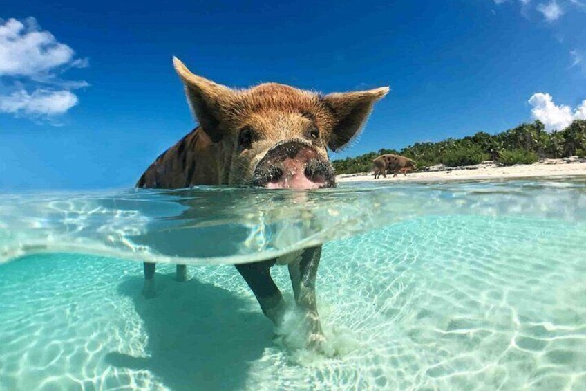 Nassau: Half-Day Island-Hopping and Snorkeling Boat Tour, Lunch 2