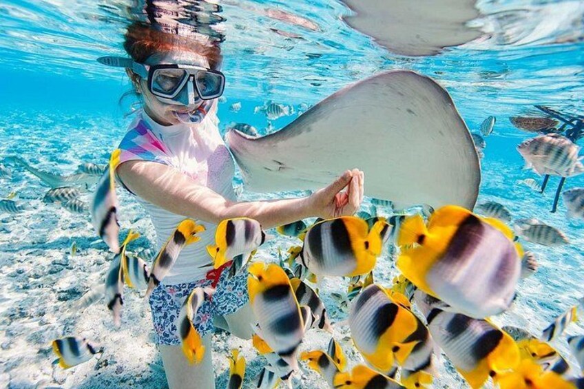 3 islands Tour with snorkelling ,Pigs, Turtles & beach club lunch 2