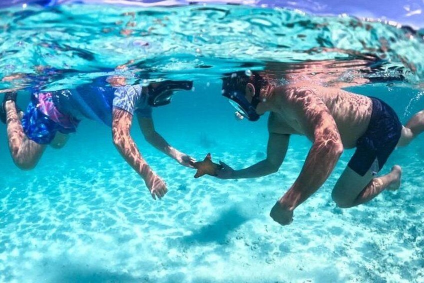 3 islands Tour with snorkelling ,Pigs, Turtles & beach club lunch 2