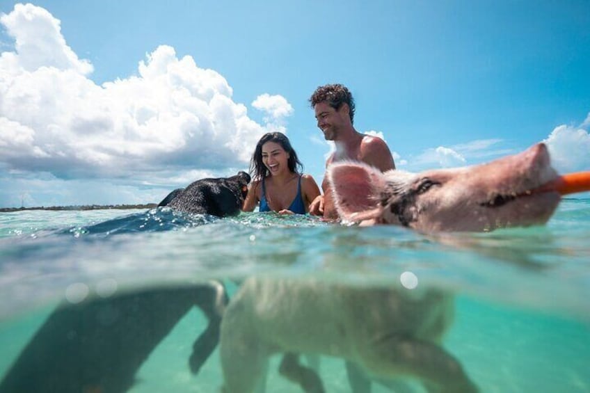 A couple and a dog in clear turquoise water, with a clear sky and clouds in the background. 3
