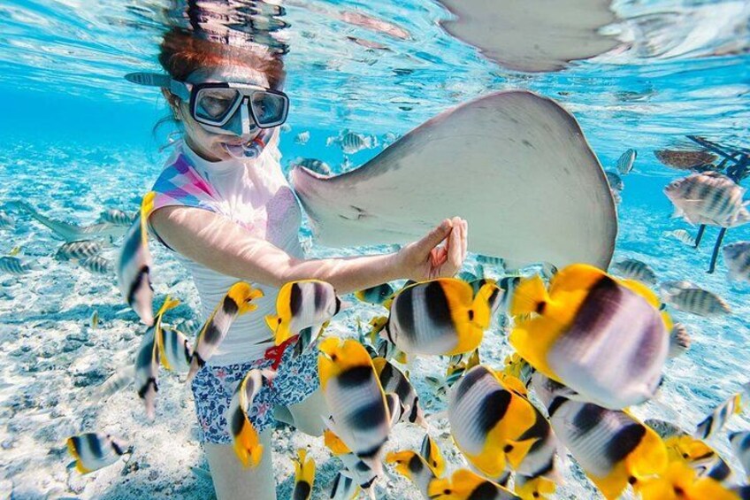3 islands Tour with snorkelling ,Pigs, Turtles & beach club lunch 3