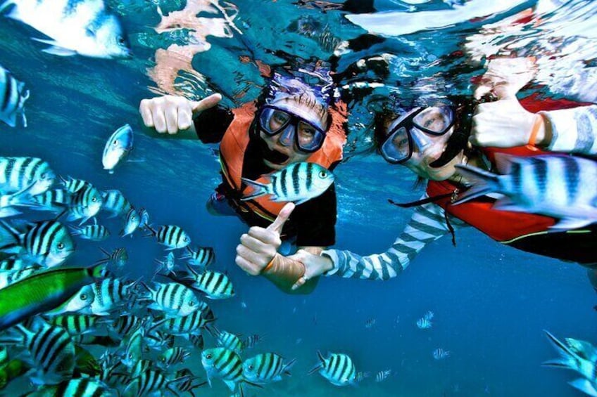 Dos personas haciendo snorkel bajo el agua, rodeadas de peces rayados. 4