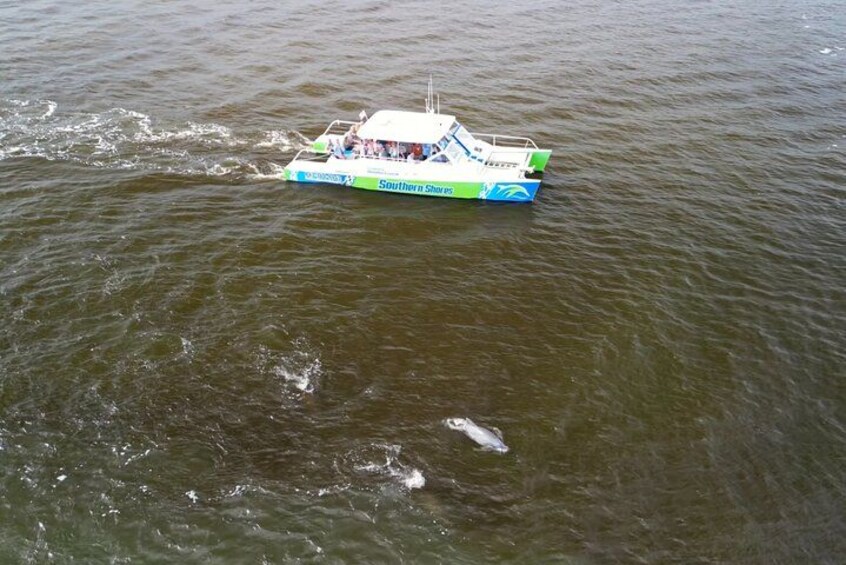 A boat with 'Southern Shore' written on its side moving through murky water. 5
