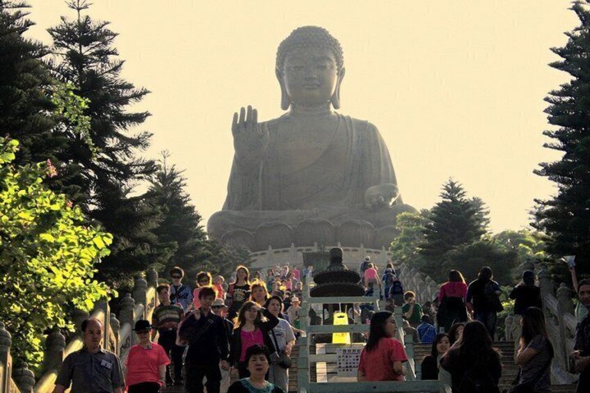 Hong Kong Cruise Pier Layover Tour: Lantau Giant Buddha & Tai O 3