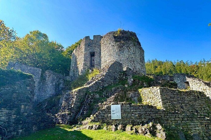 A historical stone castle ruin with a tower, surrounded by greenery and trees. 4