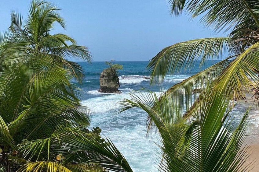 A beach with palm trees, ocean waves, and a rocky outcrop. 3