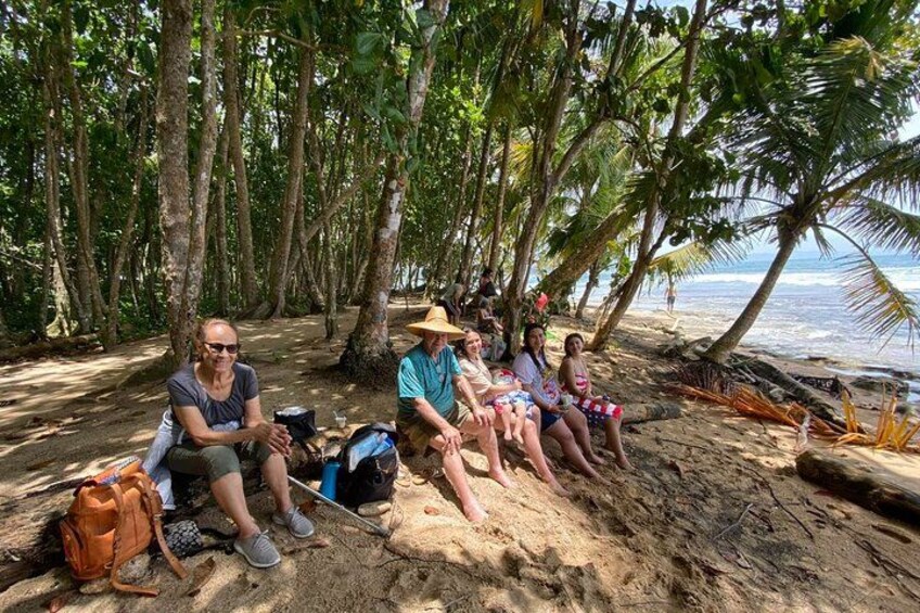 A group of people sitting on a sandy beach under palm trees. 5