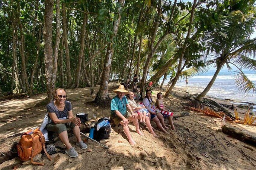 A group of people sitting on a sandy beach under palm trees. 4