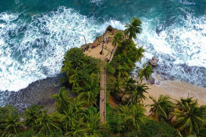 A beach with palm trees, waves crashing onto the shore, and a wooden walkway leading to the beach. 5