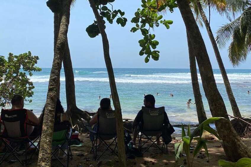 Three people sitting on beach chairs under palm trees, overlooking the ocean. 2