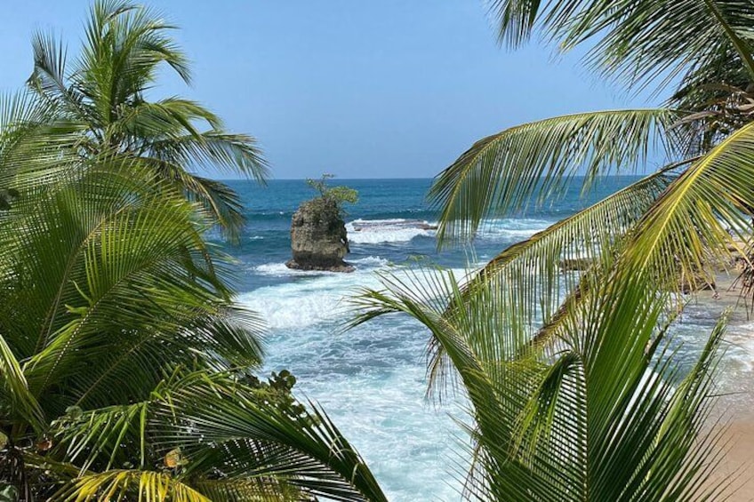 A rocky outcrop surrounded by ocean waves, palm trees, and a clear blue sky. 4