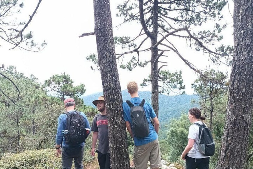 Hiking in Sierra Norte the most spectacular trails in Oaxaca 5