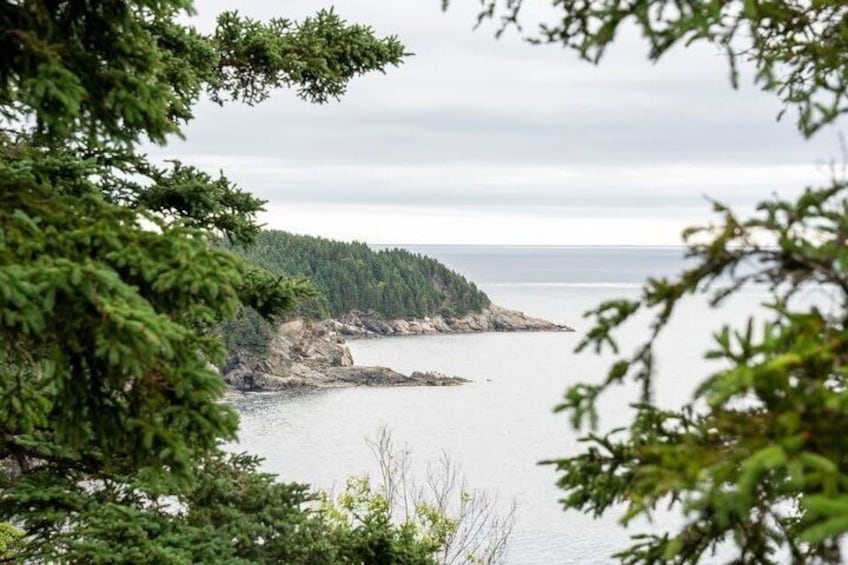 East Cabot Trail Coastal Drive and Cape Breton Highlands 4