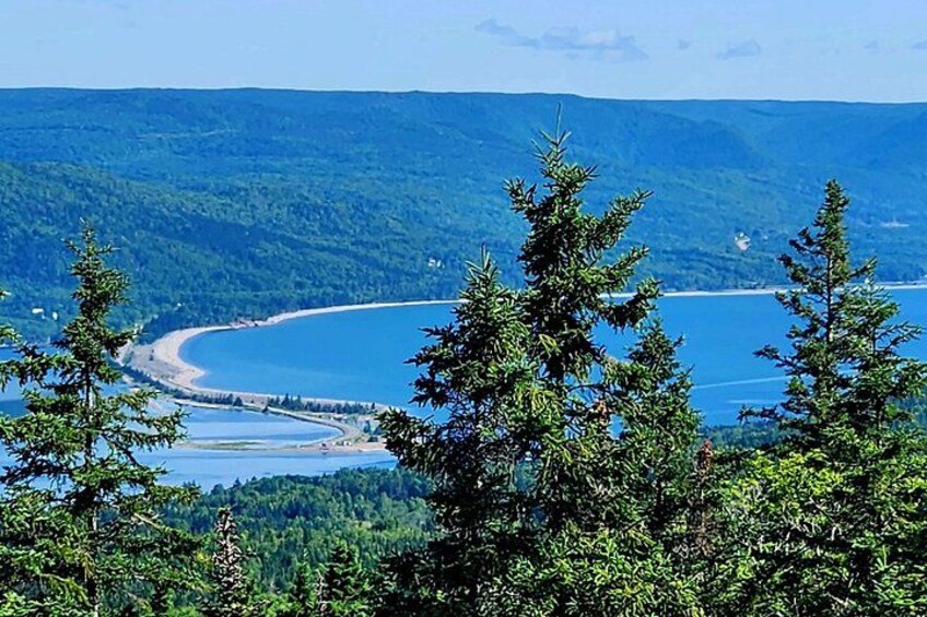 A coastal landscape with dense forest, a curved shoreline, and a distant view of a mountain range. 2