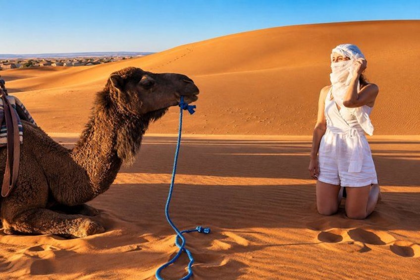 A camel lying on sand dunes with a person kneeling beside it. 5