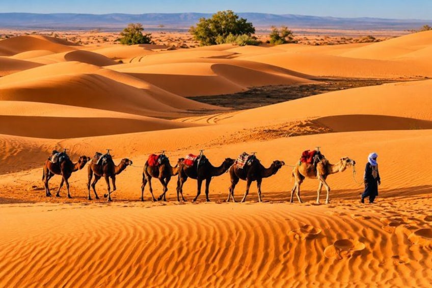 A desert landscape with sand dunes and camels. 4