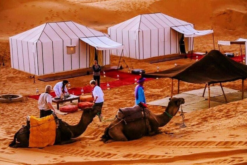 A desert landscape with tents and camels. 1