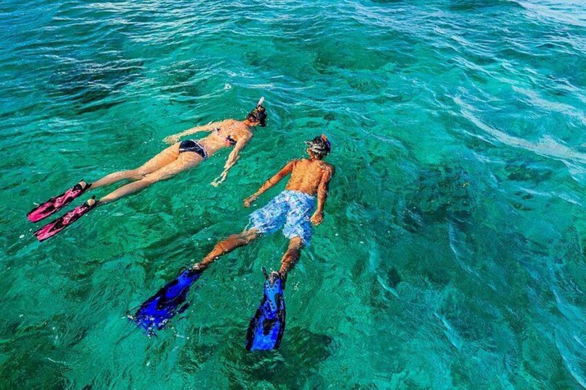 Snorkel Tours to Florida Keys National Marine Sanctuary also know as John Pennekamp Underwater State Park in Key Largo. 2