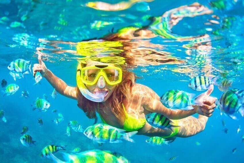 Snorkel Tours to Florida Keys National Marine Sanctuary also know as John Pennekamp Underwater State Park in Key Largo. 1