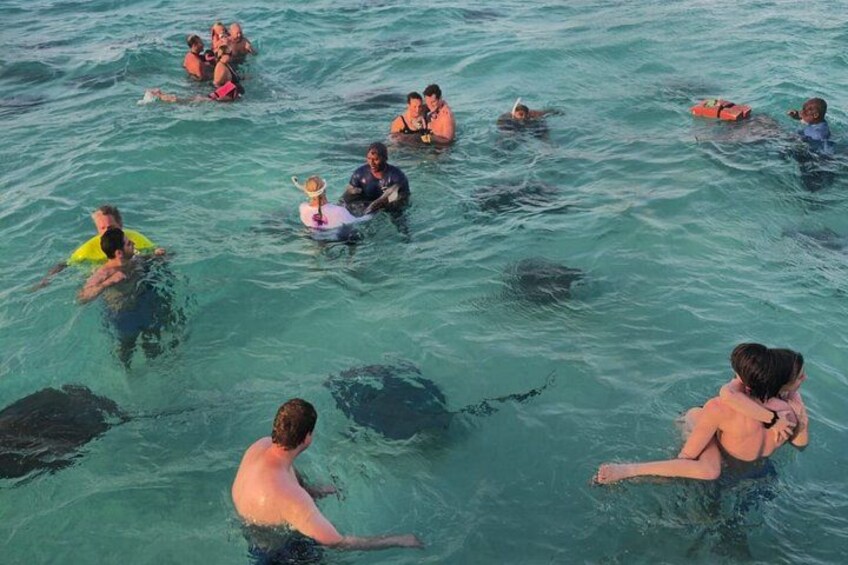 Stingray City Catamaran Sunset Tour 3