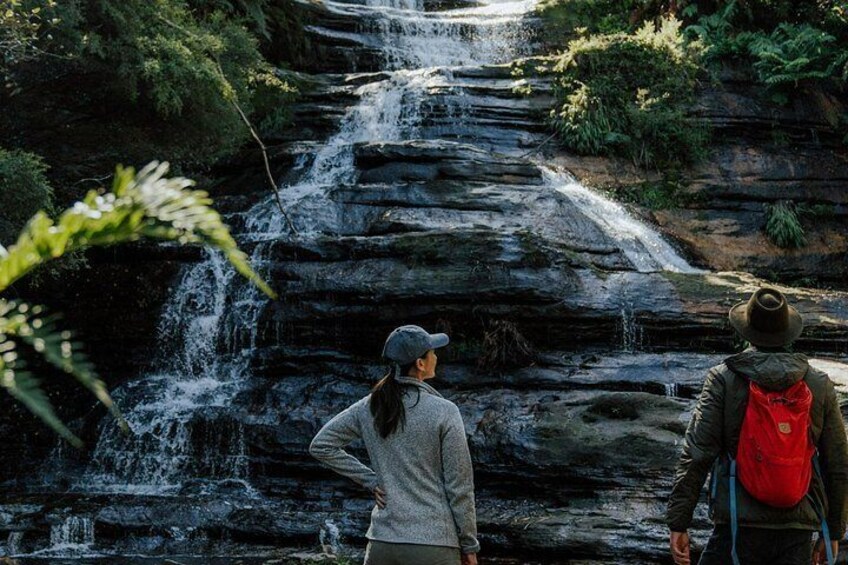 Una cascada se precipita sobre rocas en capas, rodeada de follaje. 3