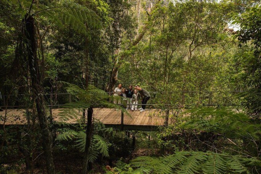 Blue Mountains Tour: Deluxe Small Group, ScenicWorld, Featherdale 2