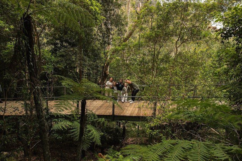 Blue Mountains Tour: Deluxe Small Group, ScenicWorld, Featherdale 2