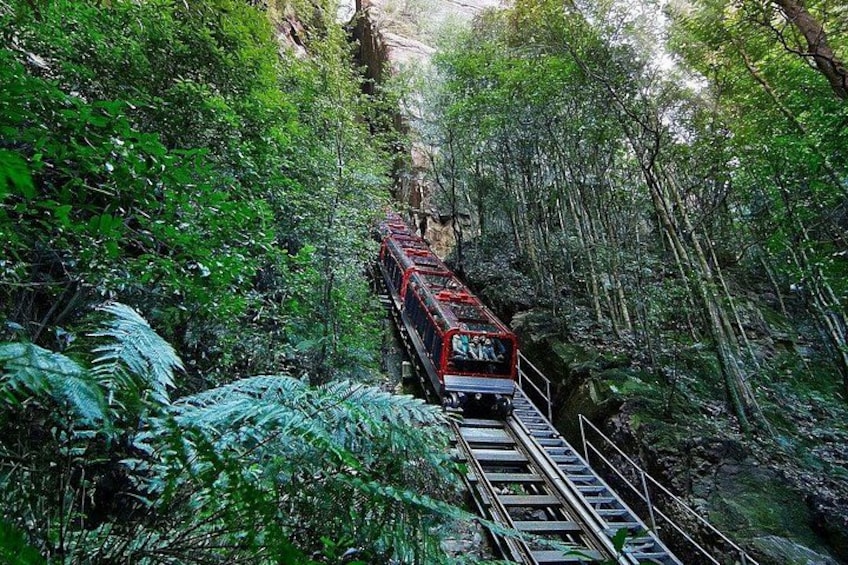Worlds steepest railway 4