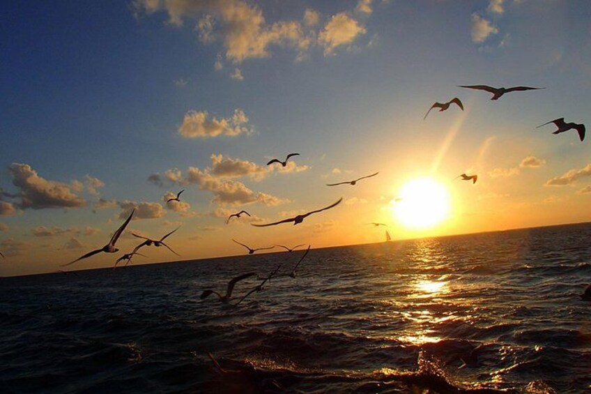 Exclusive All-in-1 Full Day Shared Guided Tour 2