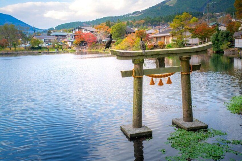 Yufuin & Beppu Tour from Fukuoka: Sapporo Brewery, AoT Museum 2