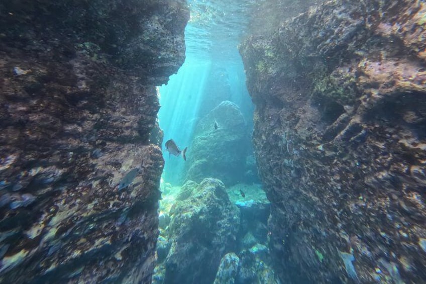 An underwater scene with rocky formations and fish swimming. 2