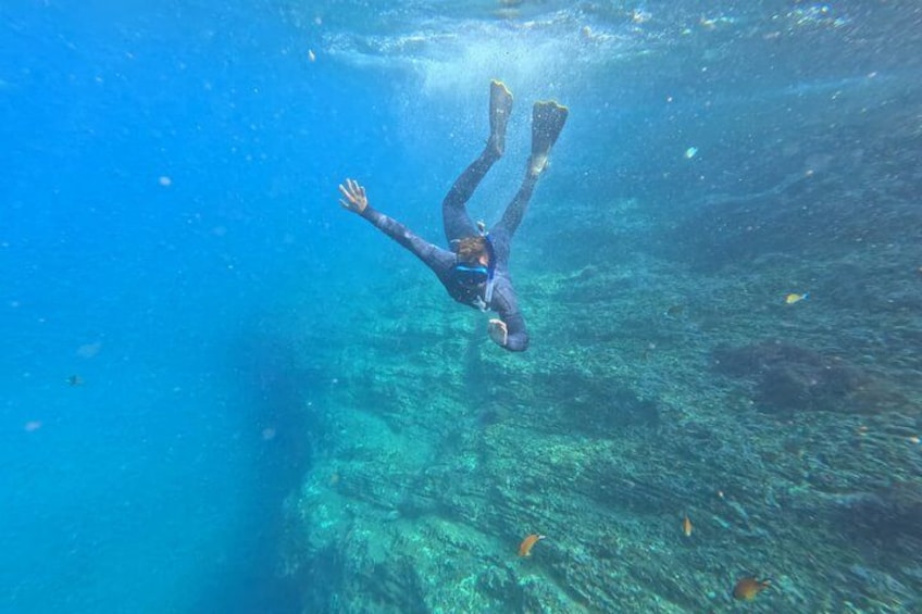 A person scuba diving underwater. 3