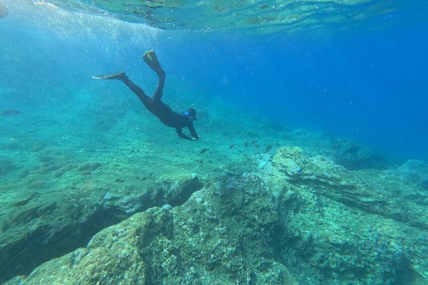 A person scuba diving underwater with a rocky seabed and sunlight filtering through the water. 1