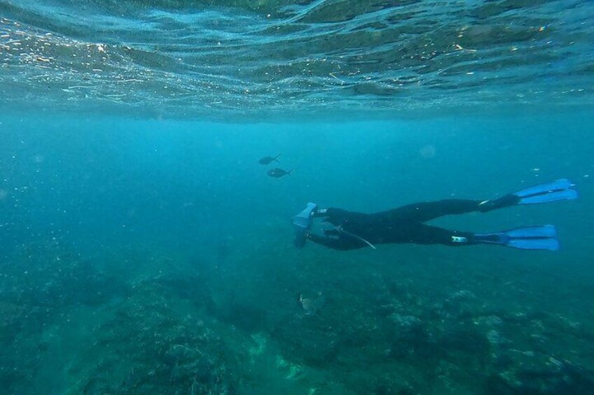 A diver underwater with fins, surrounded by clear water and rocky terrain. 2