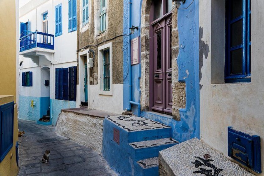 A narrow street with buildings painted in blue and white, a cat sitting on the ground, and a patterned rug on the steps. 2