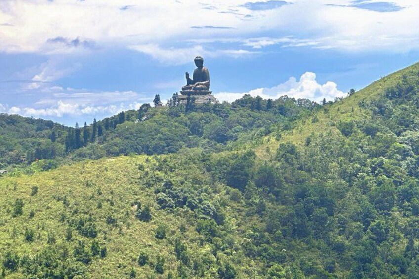 En stor Buddha-staty på en kulle, omgiven av frodig grönska. 3