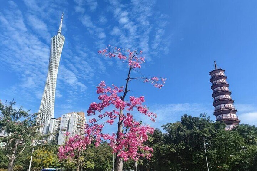 A cherry blossom tree, a traditional pagoda, and a modern skyscraper. 1