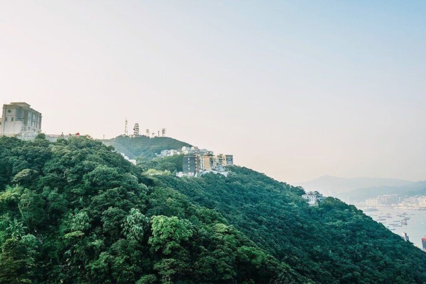 Hong Kong Central Afternoon City Walk: Tai Kwun & Victoria Peak 2