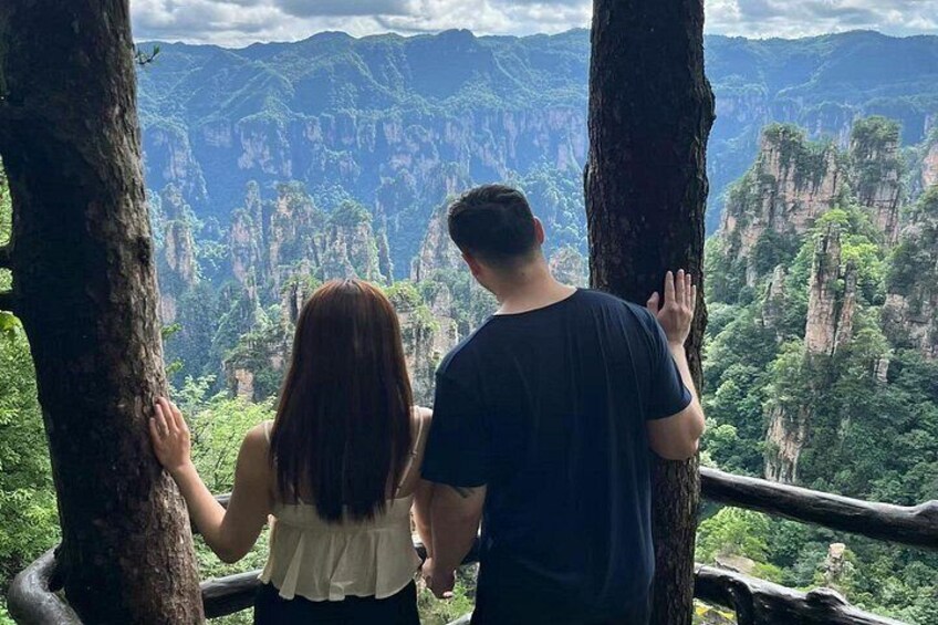 Two people standing between trees, overlooking a mountainous landscape. 4