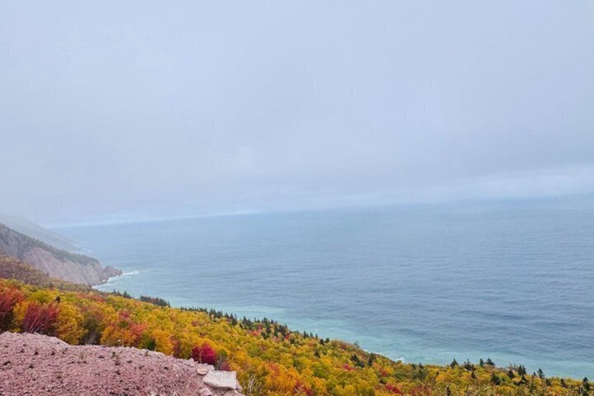 A coastal landscape with autumn foliage, a rocky foreground, and a calm sea. 3