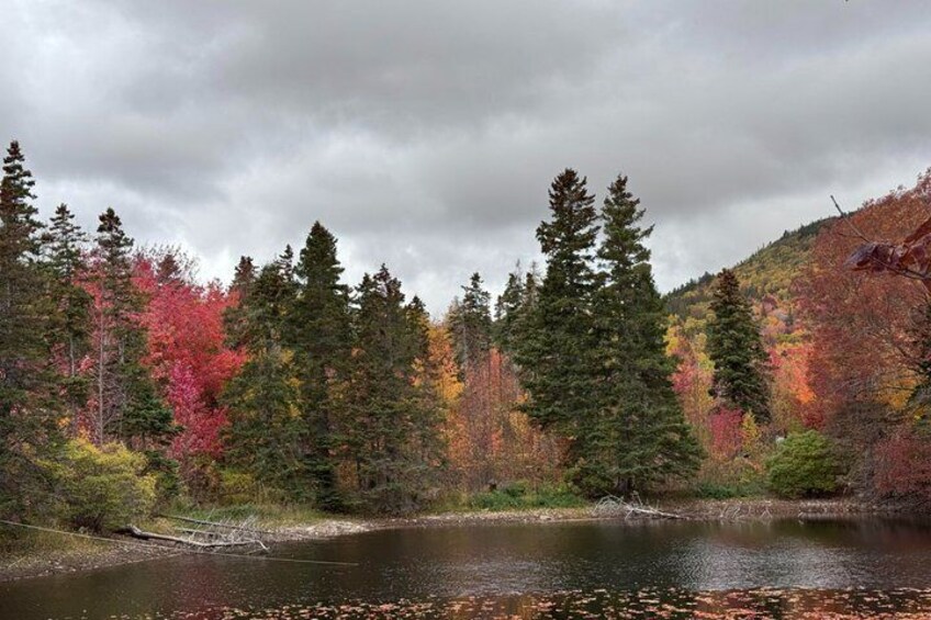 A forested landscape with a calm lake, autumn-colored trees, and a cloudy sky. 4