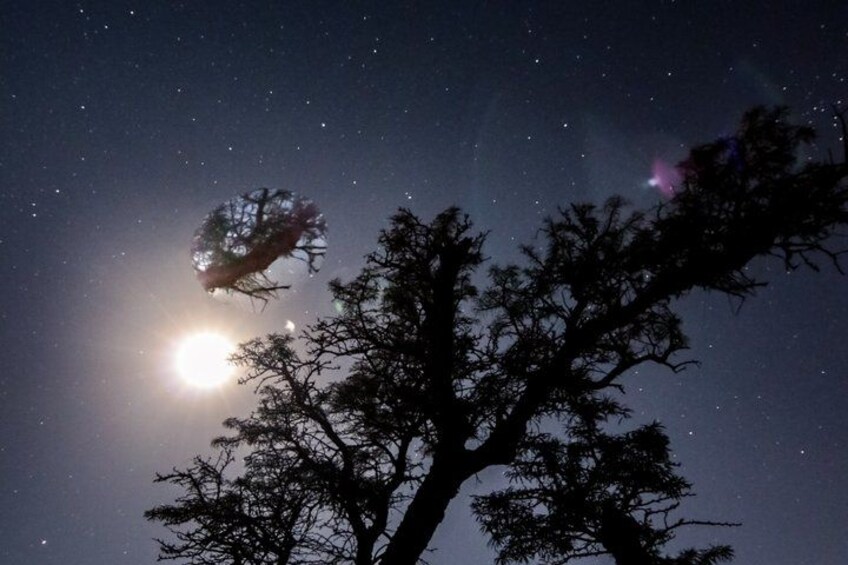 A night sky with stars, a bright moon, and silhouettes of trees. 3