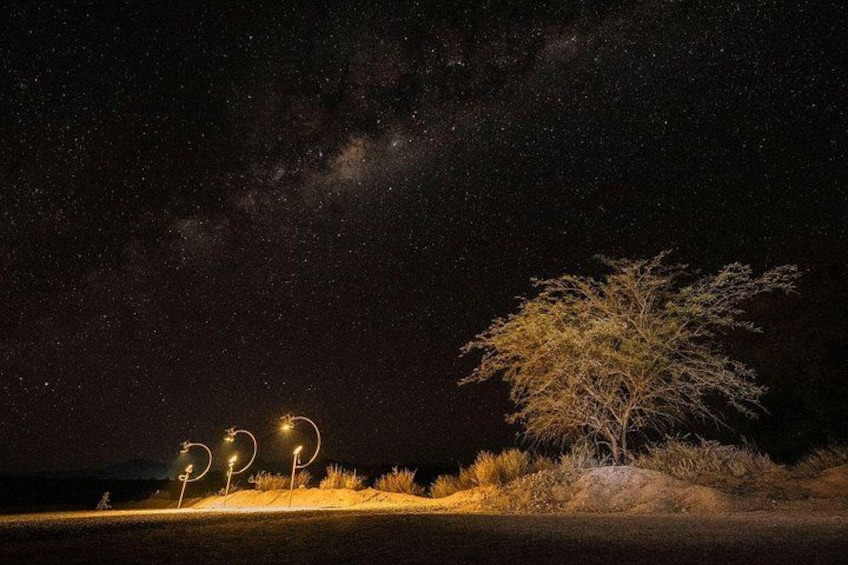 A starry night sky, a tree, and three illuminated structures. 4